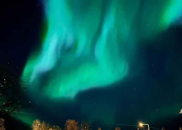 Apartment Wanha Tulli *